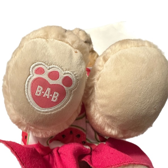 Build A Bear Skye Paw Patrol w/voice recording - Picture 8 of 8